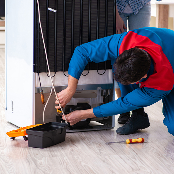 what are the common refrigerator repair services in Ferry MI